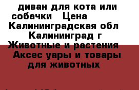 диван для кота или собачки › Цена ­ 1 000 - Калининградская обл., Калининград г. Животные и растения » Аксесcуары и товары для животных   